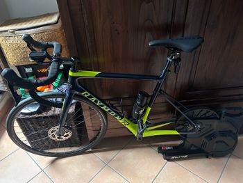 R RAYMON, RaceRay 7.0 2024
