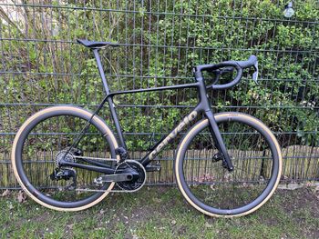Used Cervélo R5 Force AXS 2026 2026 Road & Gravel, Schwarz — image 2 of 8
