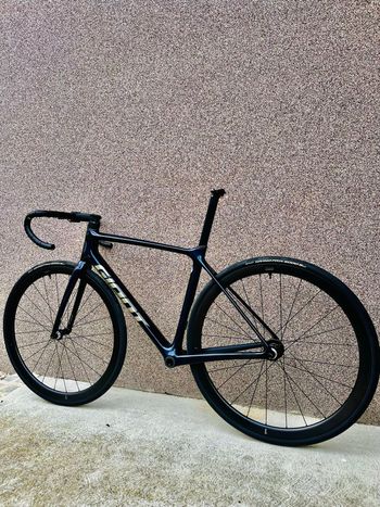 Giant, TCR Advanced Pro Disc 0 Di2 2023 Frameset