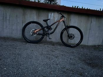 NS, Fuzz Other