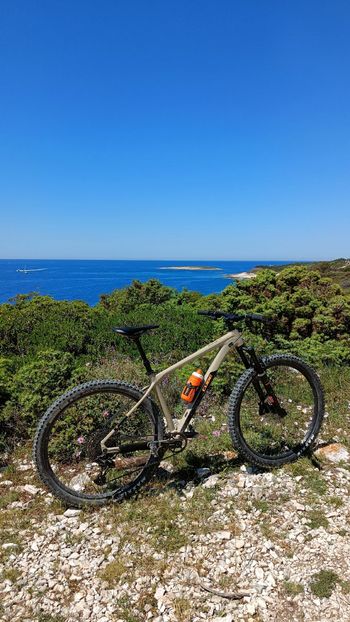 Used CUBE REACTION TM 2021 2021 Mountainbike, Orange, 29 — image 2 of 11