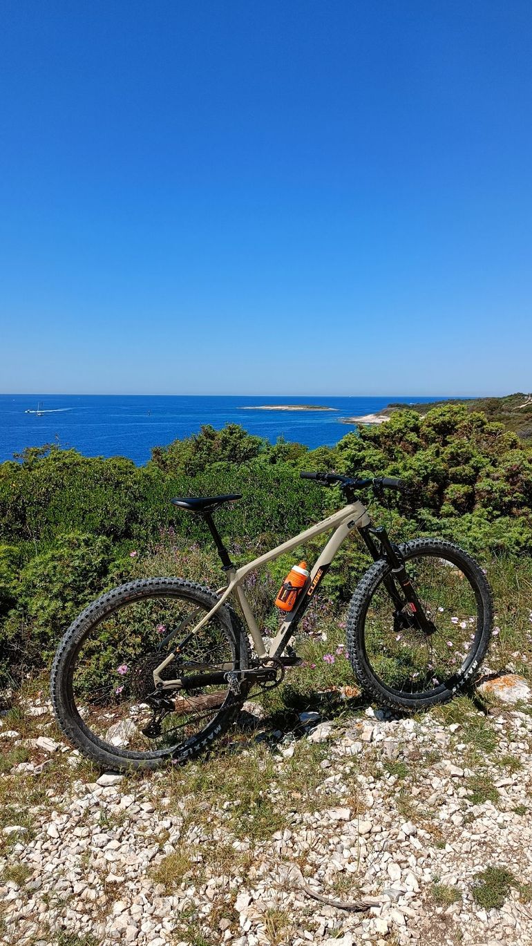 Used CUBE REACTION TM 2021 2021 Mountainbike, Orange, 29 — image 2 of 11