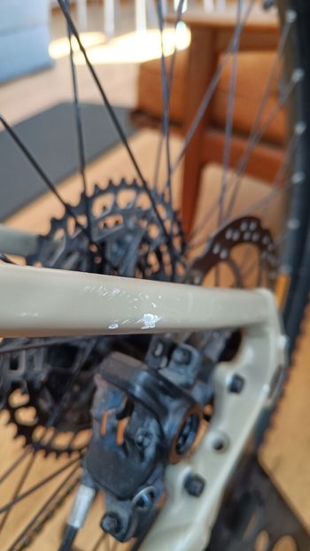 Used CUBE REACTION TM 2021 2021 Mountainbike, Orange, 29 — image 8 of 11