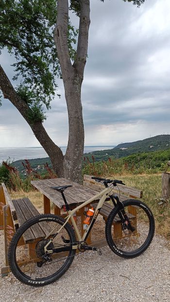 Used CUBE REACTION TM 2021 2021 Mountainbike, Orange, 29 — image 9 of 11