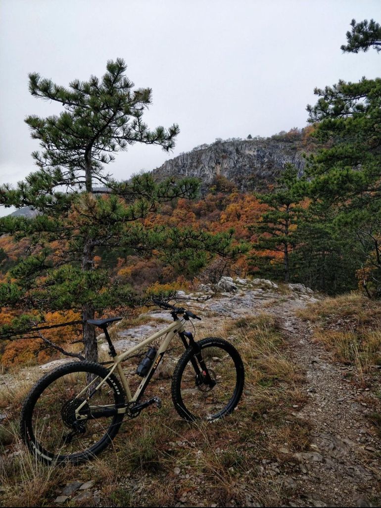 Used CUBE REACTION TM 2021 2021 Mountainbike, Orange, 29 — image 11 of 11