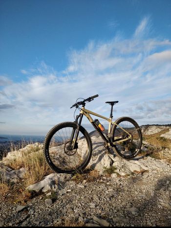 Used CUBE REACTION TM 2021 2021 Mountainbike, Orange, 29 — image 1 of 11