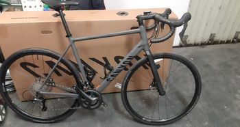 Canyon, Endurace 6 2024