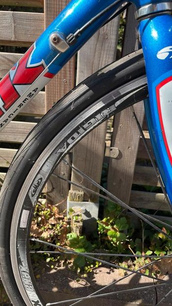 Used Trek Trek Custom Campagnolo Chorus 1999 Road & Gravel, Weiß — image 2 of 9