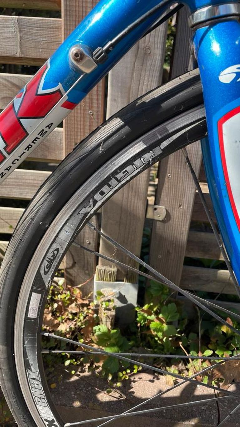 Used Trek Trek Custom Campagnolo Chorus 1999 Road & Gravel, Weiß — image 2 of 9