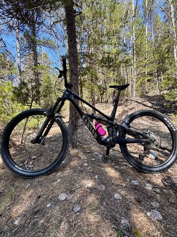 Canyon, Spectral:ONfly CF 8 2024