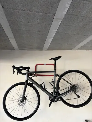 Trek, Domane AL 2 Gen 4 2026