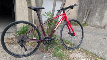 Trek, FX 3 Disc Equipped 2023
