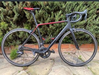 Canyon, Ultimate CF SL 8.0 2019