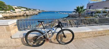 Cannondale, Scalpel Carbon 3 2022 Frameset