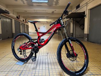 Specialized, Demo 8 I 2015