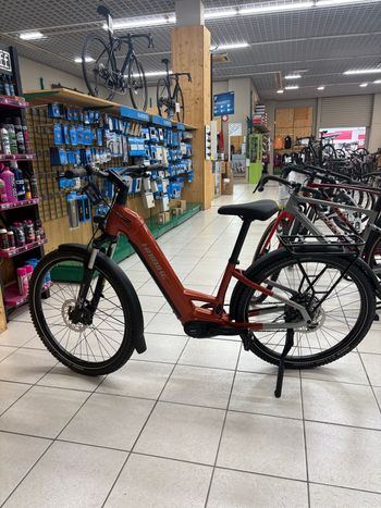 Haibike, TREKKING 4 2026