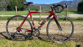 Used Trek 1200 2006 2006 Road & Gravel