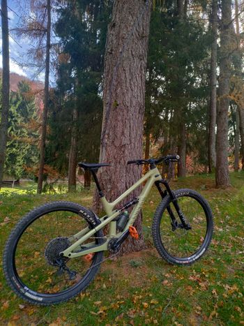 Canyon, Spectral 125 CF 7 2023