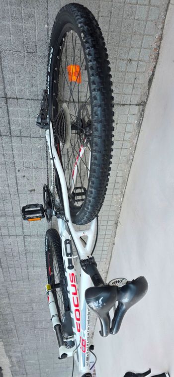 Used Focus Focus Black Forest 2013- 29" 2013 Mountainbike — image 2 of 6