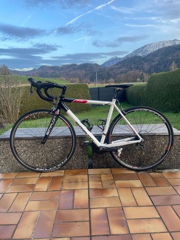 Used Simplon Phasic Shimano Ultegra 2009 Road & Gravel, White — image 7 of 7