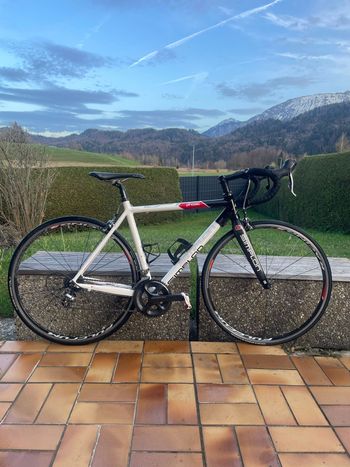 Simplon, Phasic Shimano Ultegra