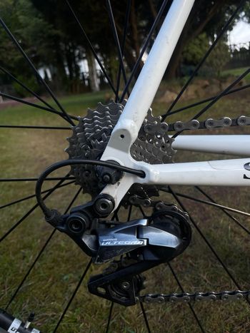Storck, VISIONER G1