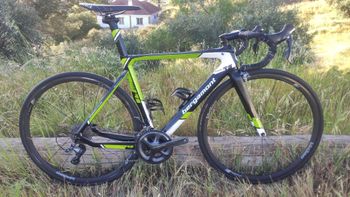 Bergamont, Bergamont Custom Shimano Ultegra