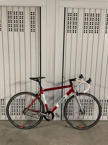 Giant, Bowery Single Speed / Fixed Gear