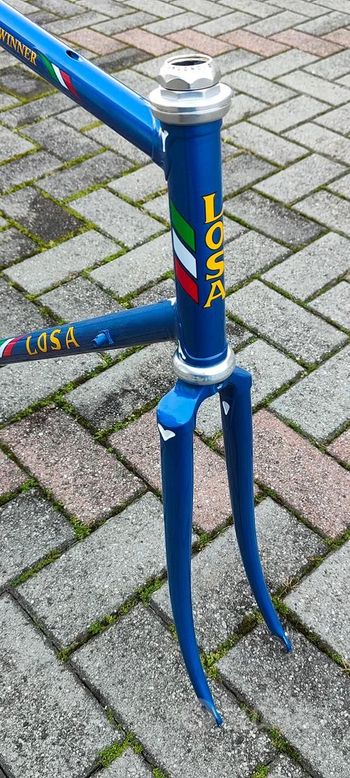 Used LOSA MADE IN ITALY, MODELLO WINNER COLUMBUS SL CONGIUNZIONI Frameset 1989 Road & Gravel