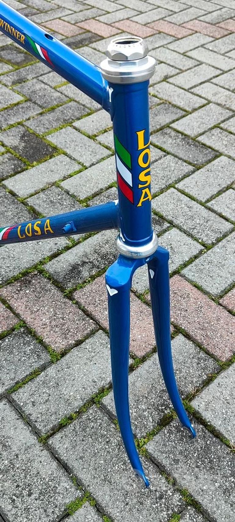 Used LOSA MADE IN ITALY, MODELLO WINNER COLUMBUS SL CONGIUNZIONI Frameset 1989 Road & Gravel, Blue — image 1 of 6