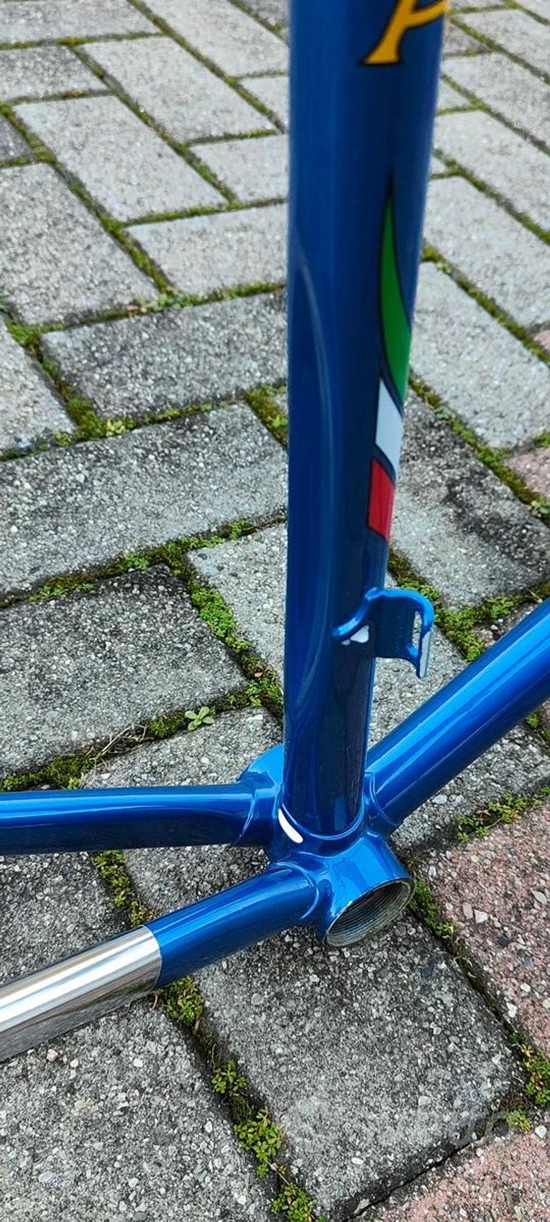 Used LOSA MADE IN ITALY, MODELLO WINNER COLUMBUS SL CONGIUNZIONI Frameset 1989 Road & Gravel, Blue — image 4 of 6