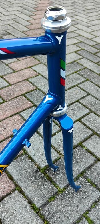 Used LOSA MADE IN ITALY, MODELLO WINNER COLUMBUS SL CONGIUNZIONI Frameset 1989 Road & Gravel, Blue — image 2 of 6