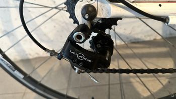 Used Olympia Olympia Custom Campagnolo Veloce 2014 Road & Gravel, White — image 6 of 8