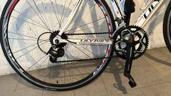Used Olympia Olympia Custom Campagnolo Veloce 2014 Road & Gravel, White — image 5 of 8