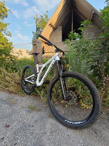 Used Specialized Men's Stumpjumper Comp Alloy 29 – 12-speed 2019 2019 Mountainbike, White, 29 — image 7 of 12