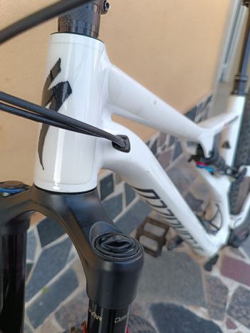 Used Specialized Men's Stumpjumper Comp Alloy 29 – 12-speed 2019 2019 Mountainbike, White, 29 — image 4 of 12