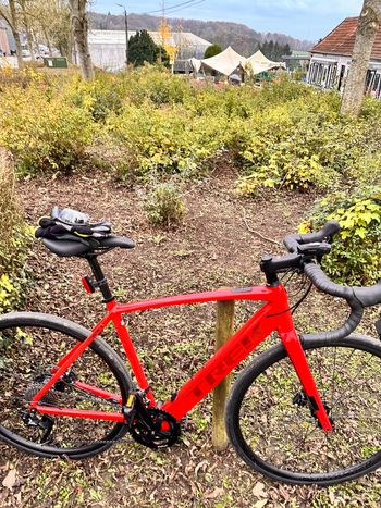 Trek, Domane+ AL 5 2024