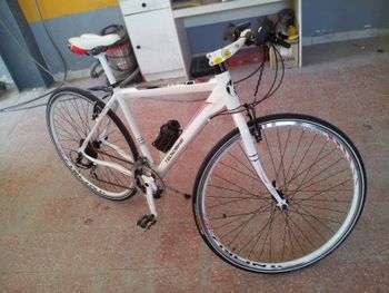 Tecnobike, 790 Concept