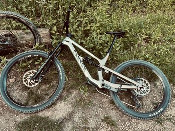 Used Canyon Spectral CF 8 K.I.S. 2024 2024 Mountainbike — image 3 of 3