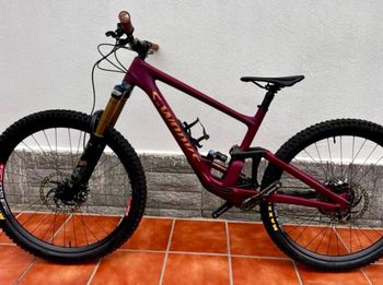 Specialized, Enduro SRAM XX1 Eagle