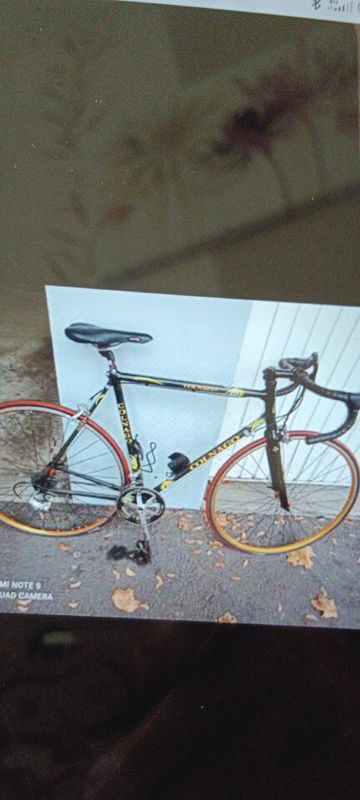 Used Colnago C40 Campagnolo Chorus 2000 Road & Gravel