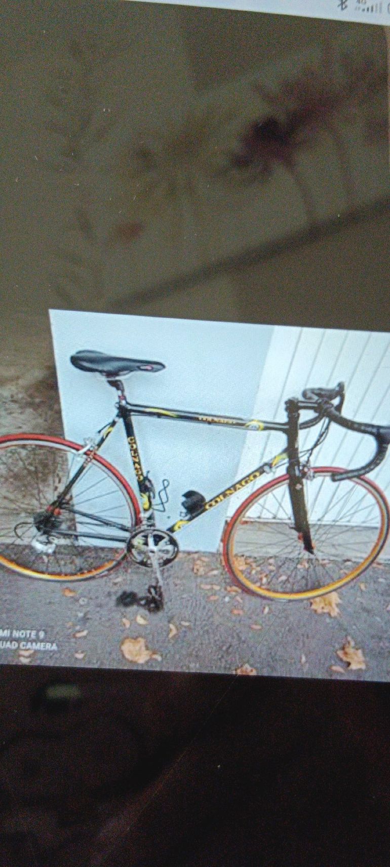 Used Colnago C40 Campagnolo Chorus 2000 Road & Gravel, Black — image 1 of 4