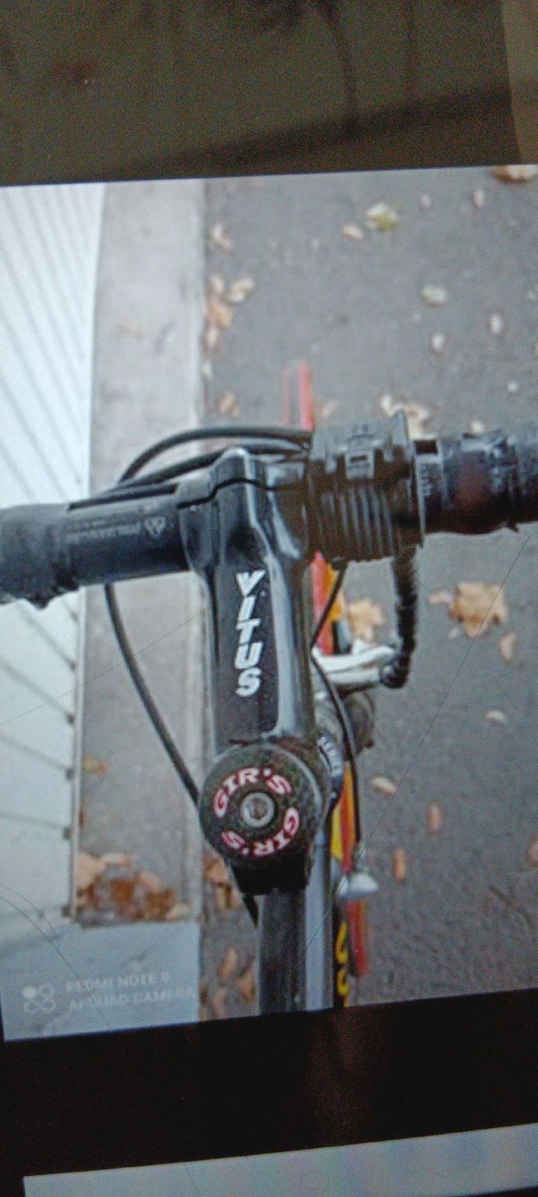 Used Colnago C40 Campagnolo Chorus 2000 Road & Gravel, Black — image 4 of 4