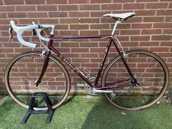 Gebrauchtes Gazelle Custom Campagnolo Veloce 1977 Road & Gravel, Rot — Bild 24 von 37