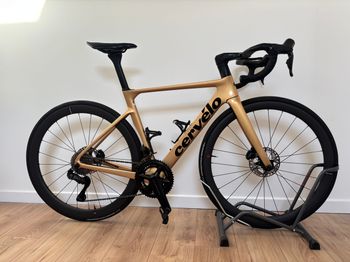 Cervélo, Soloist Ultegra Di2 2024