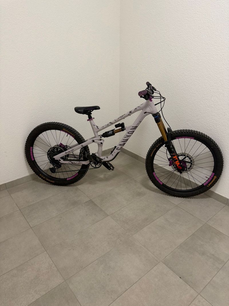Used Canyon Torque Park AL 6 2024 2024 MTB