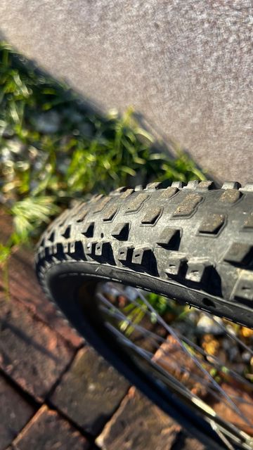 Used Specialized Rockhopper 29 2017 2017 Mountainbike, Black, 29 — image 4 of 10