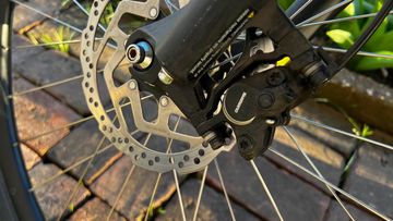 Used Specialized Rockhopper 29 2017 2017 Mountainbike, Black, 29 — image 3 of 10