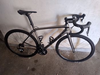 Trek, Émonda SL 6 2020
