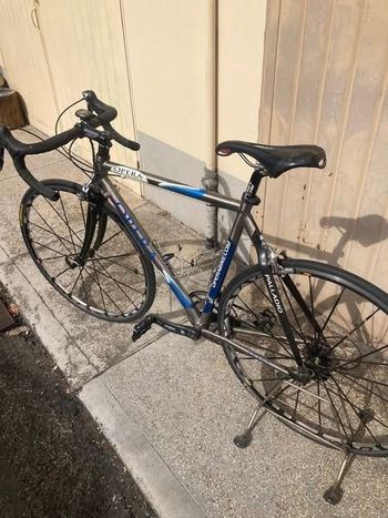Pinarello, Opera